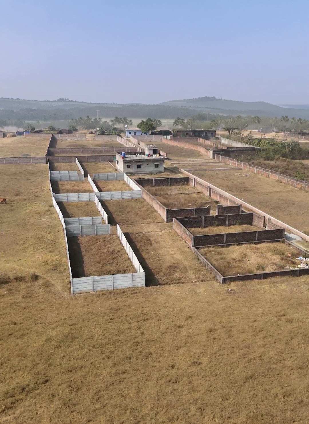 Plot Image