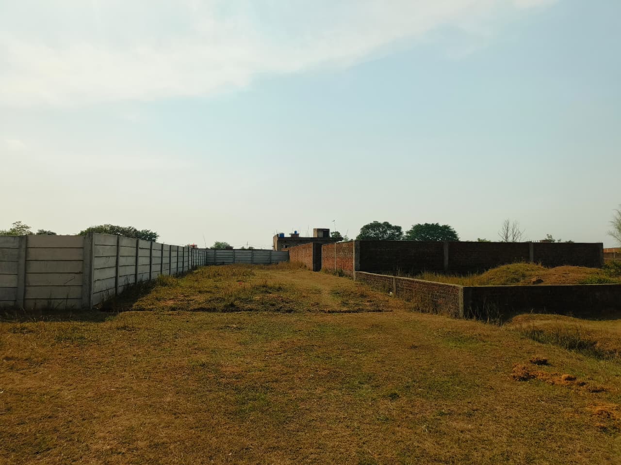 Site Image
